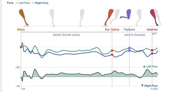 A within-stride pattern chart from the analysis panel.