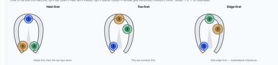Hoof diagrams from the analysis panel.